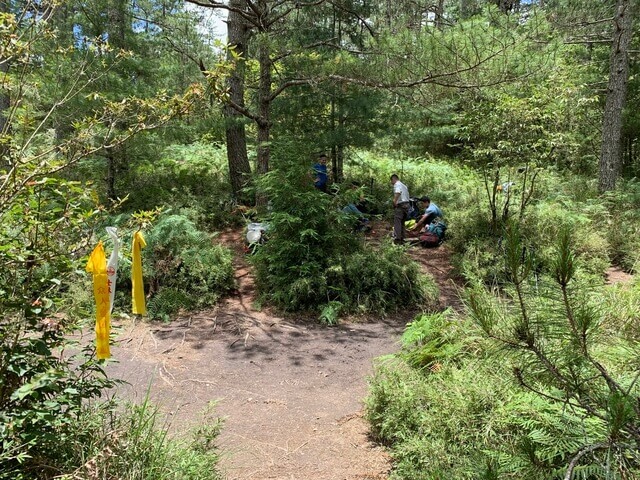 台中和平志佳陽大山 6K賽良久營地