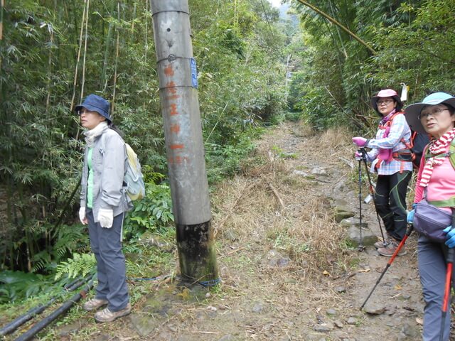 DSCN5193.JPG - 新北三峽白雞山、雞罩山前峰、雞罩山、鹿窟尖山