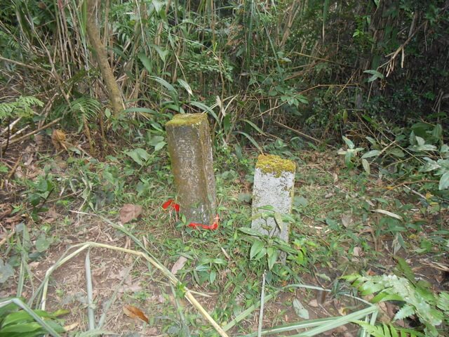 DSCN5213.JPG - 新北三峽白雞山、雞罩山前峰、雞罩山、鹿窟尖山