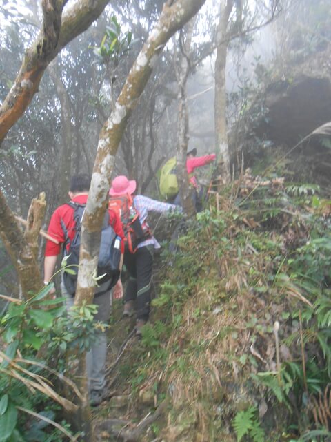 DSCN5214.JPG - 新北三峽白雞山、雞罩山前峰、雞罩山、鹿窟尖山