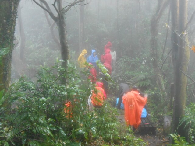 DSCN5266.JPG - 新北三峽白雞山、雞罩山前峰、雞罩山、鹿窟尖山