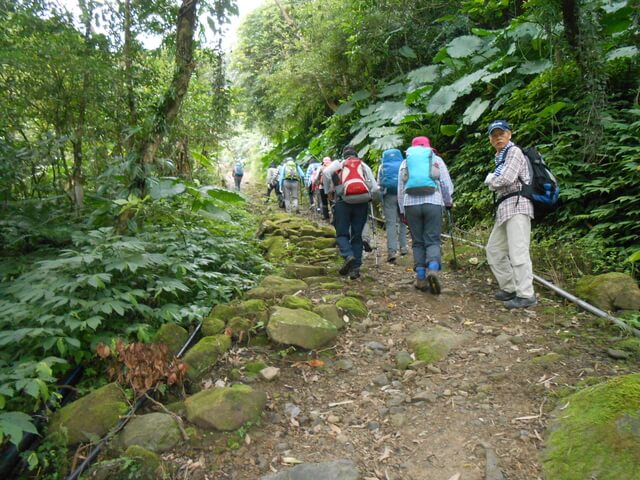 DSCN5189.JPG - 新北三峽白雞山、雞罩山前峰、雞罩山、鹿窟尖山