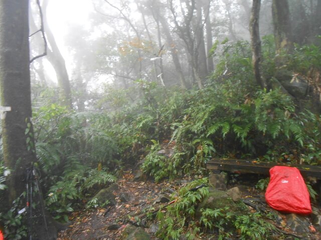 DSCN5256.JPG - 新北三峽白雞山、雞罩山前峰、雞罩山、鹿窟尖山