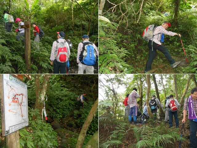 DSCN5205-11.JPG - 新北三峽白雞山、雞罩山前峰、雞罩山、鹿窟尖山