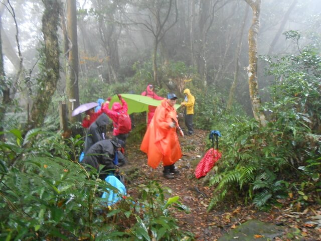 DSCN5255.JPG - 新北三峽白雞山、雞罩山前峰、雞罩山、鹿窟尖山