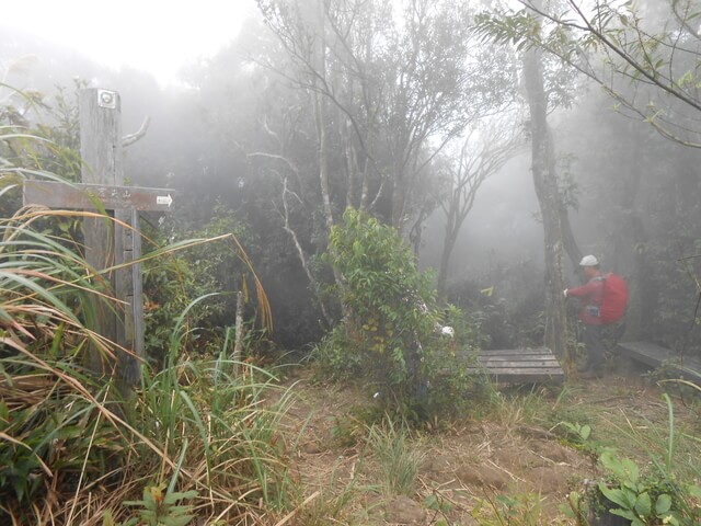 DSCN5230.JPG - 新北三峽白雞山、雞罩山前峰、雞罩山、鹿窟尖山