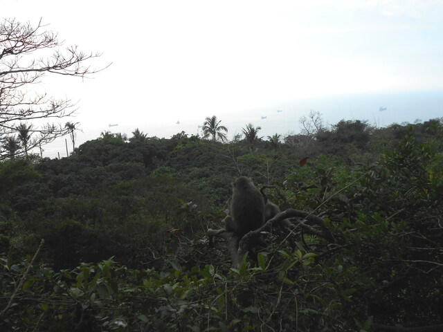 DSCN5166.JPG - 高雄鼓山內帷山、北壽山