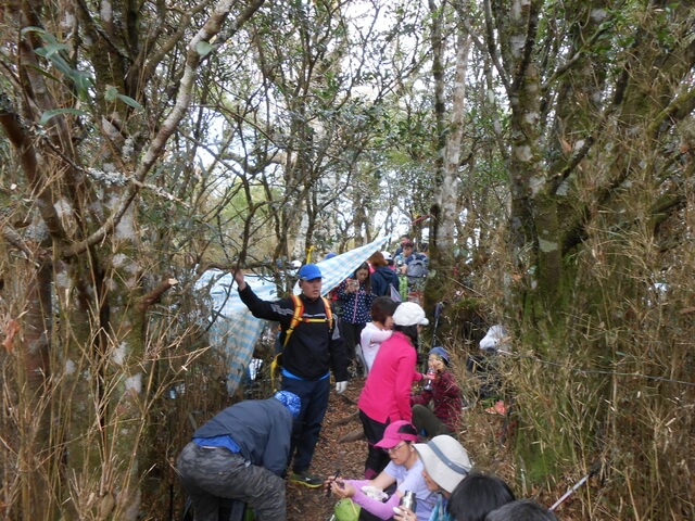 DSCN5017.JPG - 新竹尖石八五山古道、內鳥嘴山、北得拉曼步道