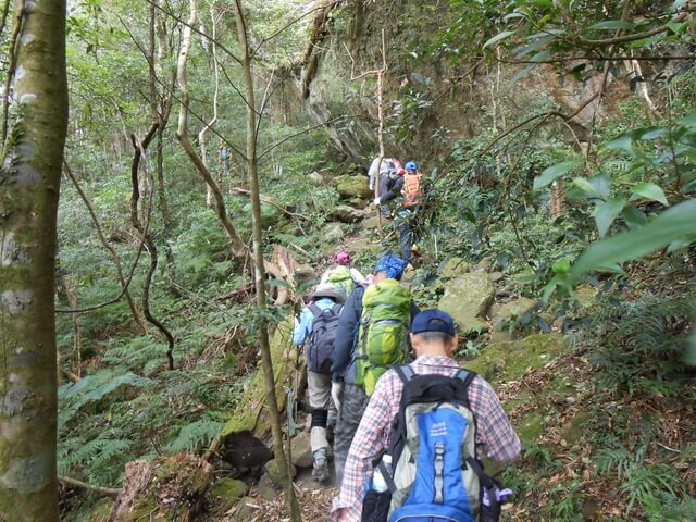 DSCN5026.JPG - 新竹尖石八五山古道、內鳥嘴山、北得拉曼步道