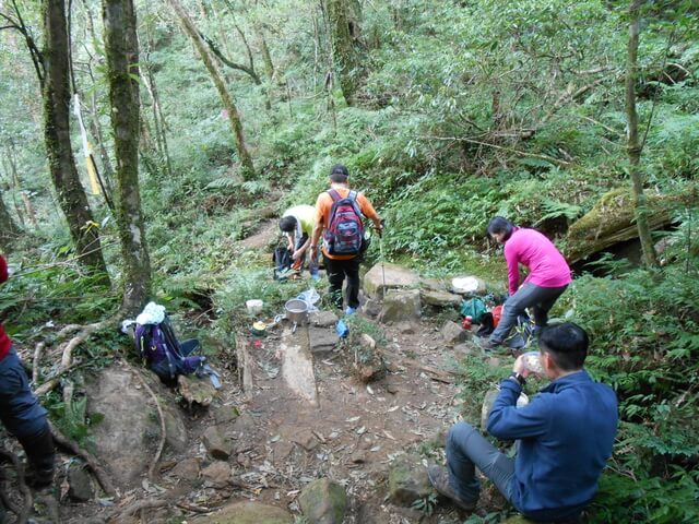 DSCN5022.JPG - 新竹尖石八五山古道、內鳥嘴山、北得拉曼步道