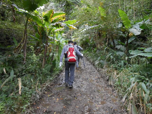 DSCN4944.JPG - 新竹尖石八五山古道、內鳥嘴山、北得拉曼步道