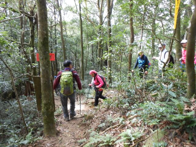 DSCN5029.JPG - 新竹尖石八五山古道、內鳥嘴山、北得拉曼步道