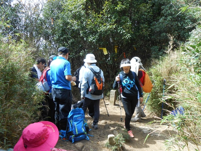 DSCN5013.JPG - 新竹尖石八五山古道、內鳥嘴山、北得拉曼步道