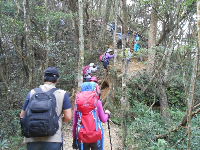 DSCN5031.JPG - 新竹尖石八五山古道、內鳥嘴山、北得拉曼步道