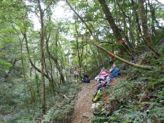 DSCN5023.JPG - 新竹尖石八五山古道、內鳥嘴山、北得拉曼步道