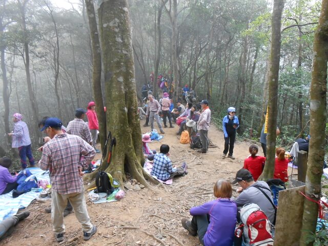 DSCN5030.JPG - 新竹尖石八五山古道、內鳥嘴山、北得拉曼步道