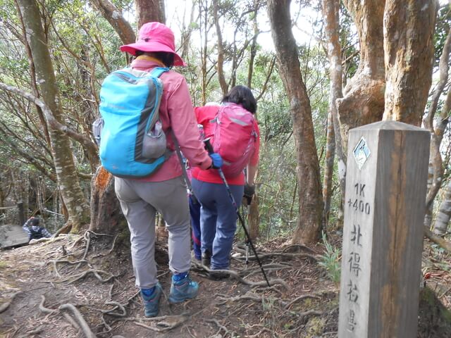 DSCN5032.JPG - 新竹尖石八五山古道、內鳥嘴山、北得拉曼步道