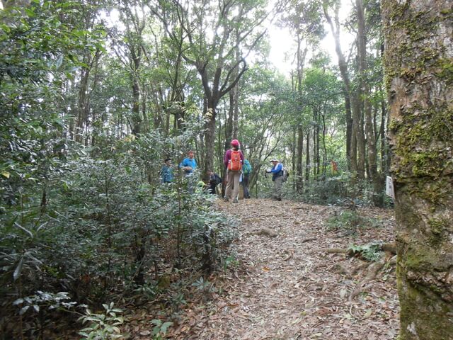 DSCN4824.JPG - 新竹尖石高台山、島田山