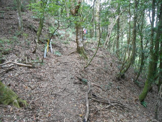 DSCN4858.JPG - 新竹尖石高台山、島田山