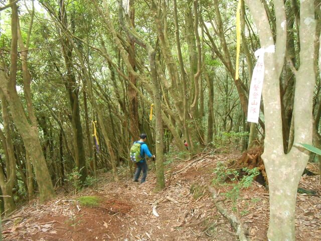 DSCN4863.JPG - 新竹尖石高台山、島田山