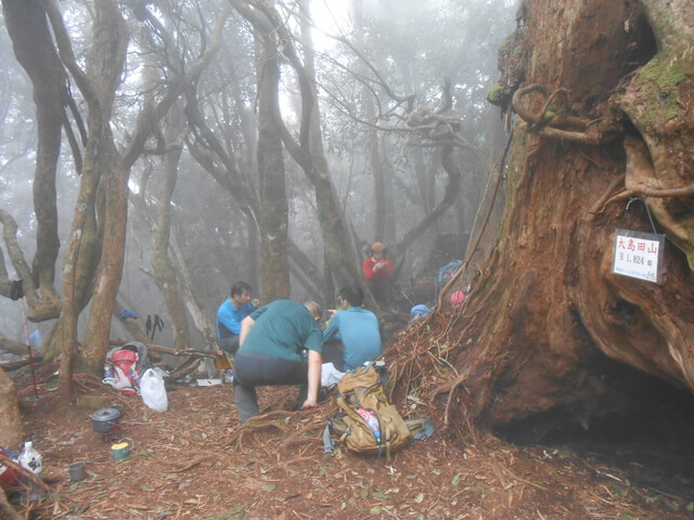 DSCN4884.JPG - 新竹尖石高台山、島田山