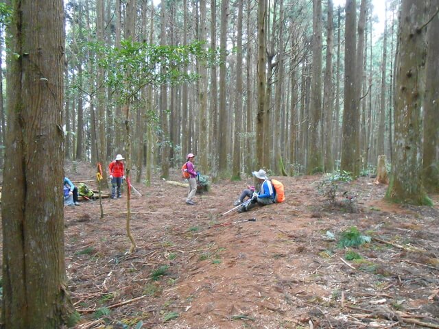 DSCN4896.JPG - 新竹尖石高台山、島田山