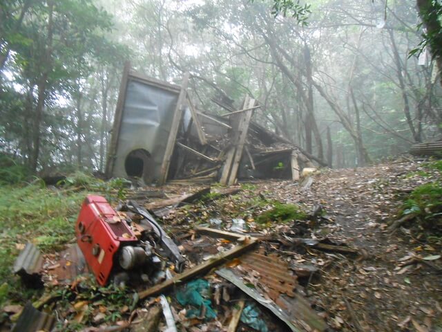 DSCN4889.JPG - 新竹尖石高台山、島田山