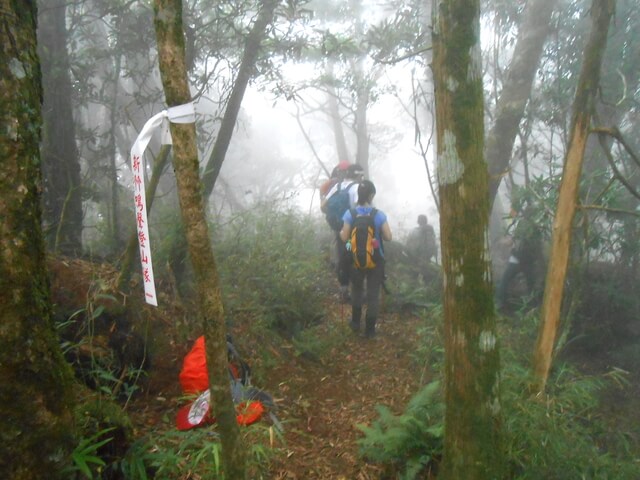 DSCN4885.JPG - 新竹尖石高台山、島田山