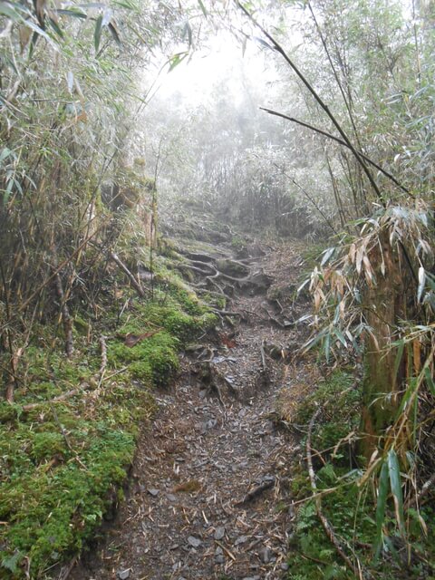 DSCN4702.JPG - 台中和平武陵四秀之二秀(DAY-2 桃山、詩崙山、喀拉業山)