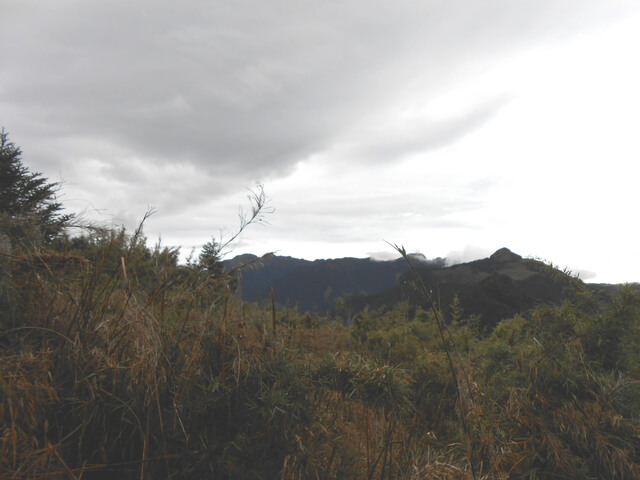 DSCN4660.JPG - 台中和平武陵四秀之二秀(DAY-2 桃山、詩崙山、喀拉業山)