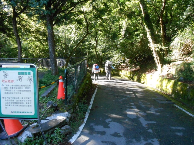 DSCN4566.JPG - 台中和平武陵四秀之二秀(DAY-1 桃山)