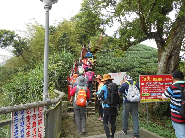 DSCN4427.JPG - 嘉義梅山雲嘉五連峰(太平山、梨子腳山、馬鞍山、二尖山、大尖山)