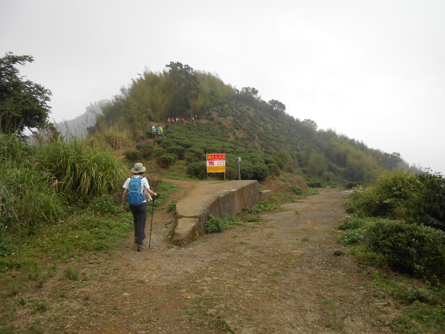 DSCN4440.JPG - 嘉義梅山雲嘉五連峰(太平山、梨子腳山、馬鞍山、二尖山、大尖山)