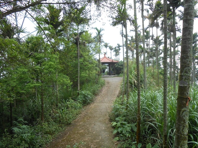 DSCN4469.JPG - 嘉義梅山雲嘉五連峰(太平山、梨子腳山、馬鞍山、二尖山、大尖山)