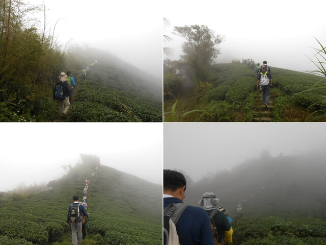 DSCN4407-11.JPG - 嘉義梅山雲嘉五連峰(太平山、梨子腳山、馬鞍山、二尖山、大尖山)