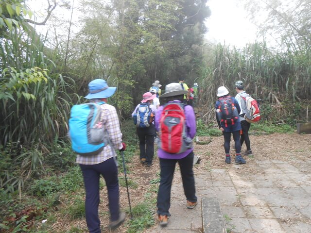 DSCN4406.JPG - 嘉義梅山雲嘉五連峰(太平山、梨子腳山、馬鞍山、二尖山、大尖山)