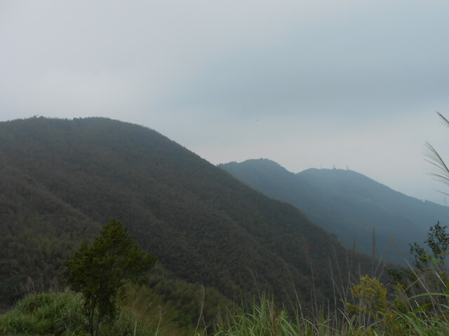 DSCN4429.JPG - 嘉義梅山雲嘉五連峰(太平山、梨子腳山、馬鞍山、二尖山、大尖山)