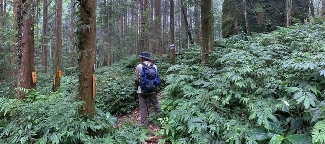 巨石叉路，左往光天高山，取右上往向天湖山