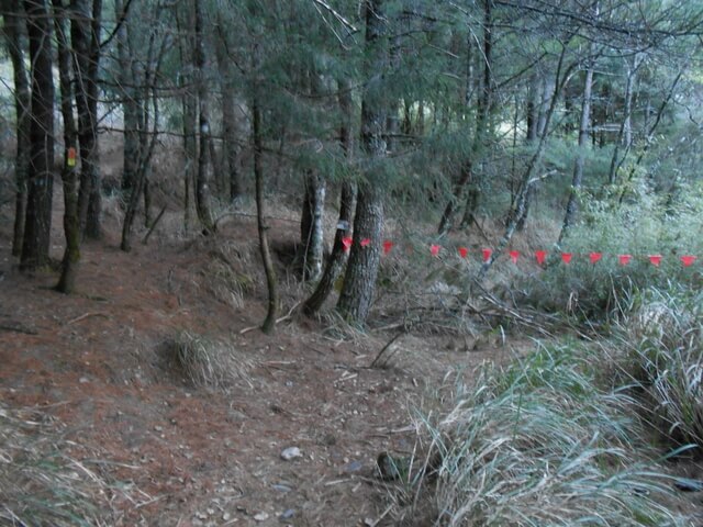 DSCN4285.JPG - 台中和平閂山鈴鳴山(DAY2－鈴鳴山)