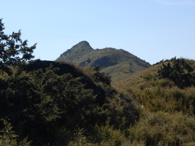 DSCN4343.JPG - 台中和平閂山鈴鳴山(DAY2－鈴鳴山)