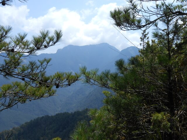 DSCN4209.JPG - 台中和平閂山鈴鳴山(DAY1－閂山)