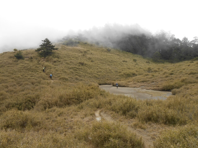 DSCN4245.JPG - 台中和平閂山鈴鳴山(DAY1－閂山)