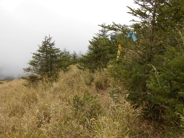 DSCN4237.JPG - 台中和平閂山鈴鳴山(DAY1－閂山)