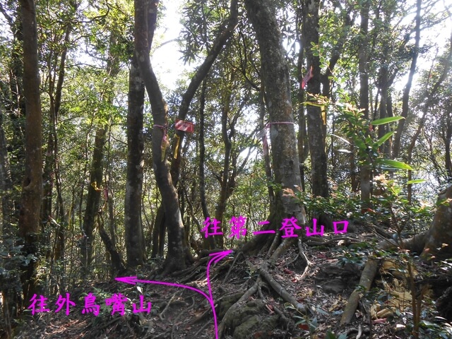 DSCN4098.JPG - 新竹關西外鳥嘴山、蓮包山