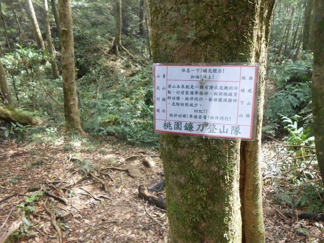 DSCN4118.JPG - 新竹關西外鳥嘴山、蓮包山