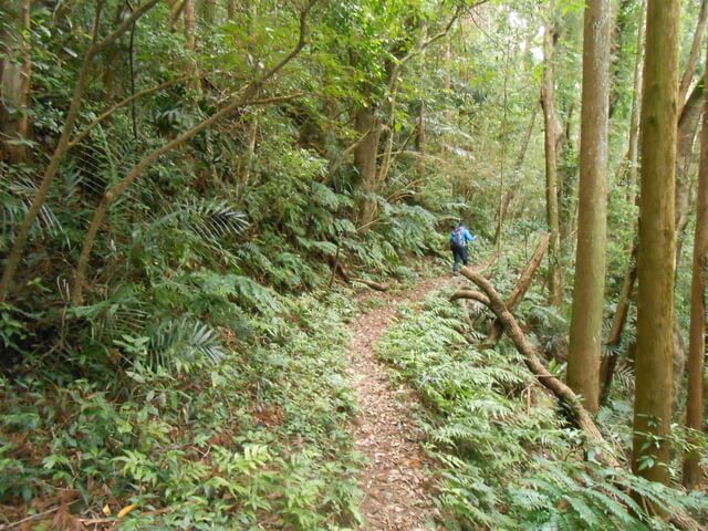 DSCN4160.JPG - 新竹關西外鳥嘴山、蓮包山