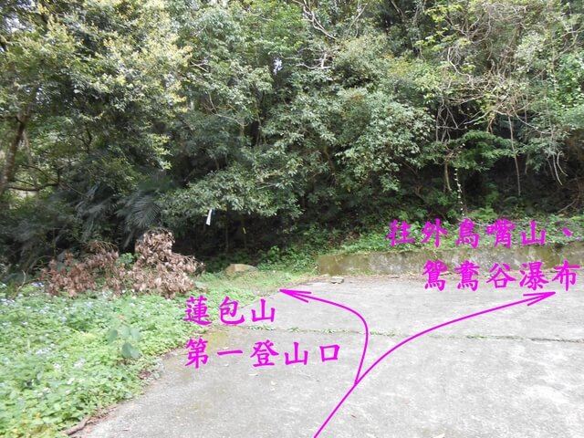 DSCN4083.JPG - 新竹關西外鳥嘴山、蓮包山