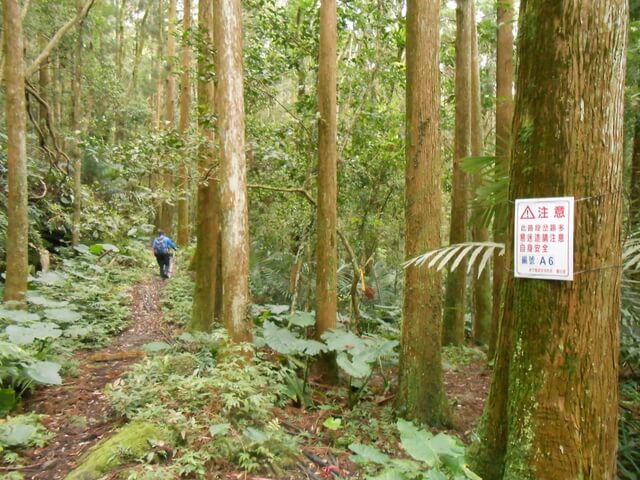 DSCN4159.JPG - 新竹關西外鳥嘴山、蓮包山