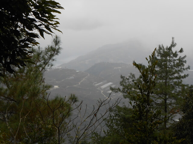 DSCN4036.JPG - 南投仁愛北東眼山、中央東眼山、南東眼山(三眼縱走)