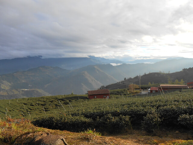 DSCN4078.JPG - 南投仁愛北東眼山、中央東眼山、南東眼山(三眼縱走)